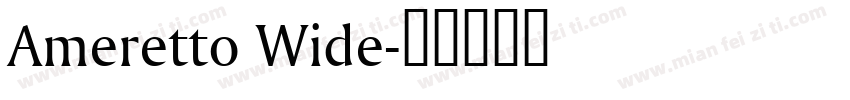 Ameretto Wide字体转换
